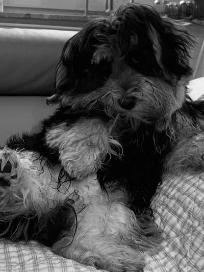 Foto-Challenge 76: Foto in Schwarz-Weiss-Beitrag-Bild