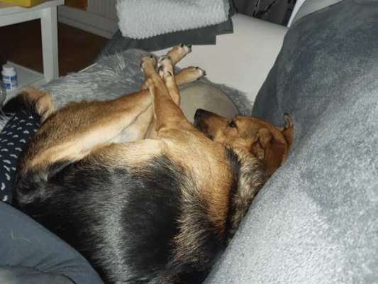 Hier ist der Spaßthread. Zum Schmunzeln und Kaputtlachen-Beitrag-Bild