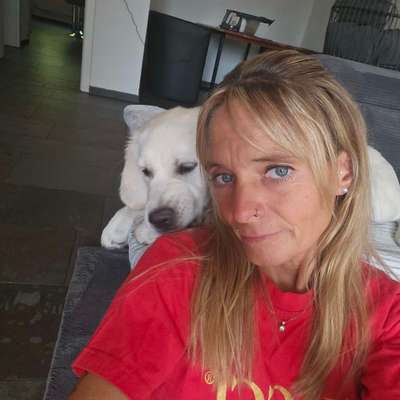 Hundetreffen-Spielfreund gesucht-Bild