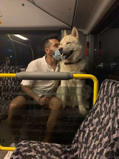 Euer schönstes Bild mit eurem Hund gemeinsam!-Beitrag-Bild