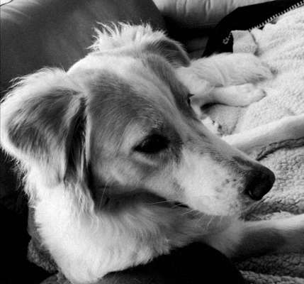 Foto-Challenge 76: Foto in Schwarz-Weiss-Beitrag-Bild