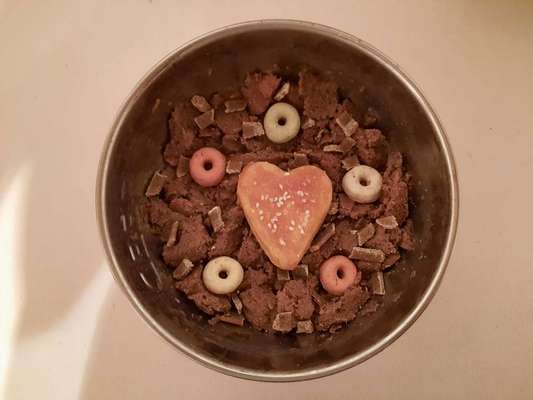 Fotochallenge 31 - Das perfekte Hundedinner-Beitrag-Bild