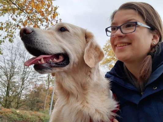 Lachen😀 eure Hunde auch so gerne😂-Beitrag-Bild