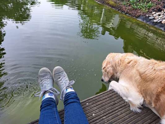 Dogorama Photo Challenge - Wasserspiele-Beitrag-Bild