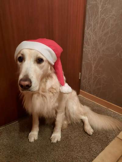 It's beginning to look a lot like.....-Beitrag-Bild