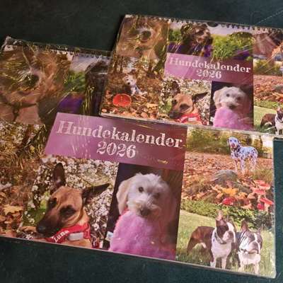 aktuelles Foto Gruppe Hundekalender 2026