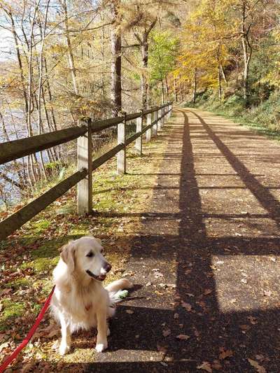 Euer schönster Moment des Jahres auf einem Bild!-Beitrag-Bild