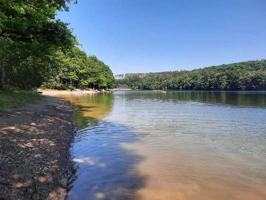 Hundeauslaufgebiet-Glörtalsperre-Bild