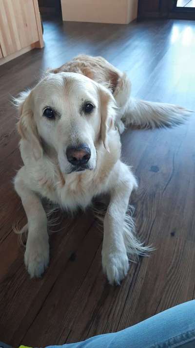 Doppelgänger gesucht !-Beitrag-Bild