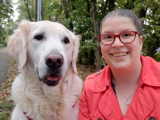 Wo sind die Golden Retriever Liebhaber?-Beitrag-Bild