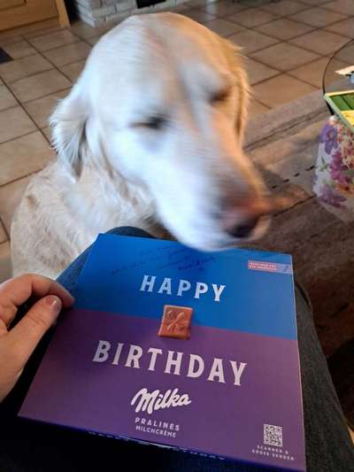 Dogorama Photo Challenge - Fail/Outtakes-Beitrag-Bild