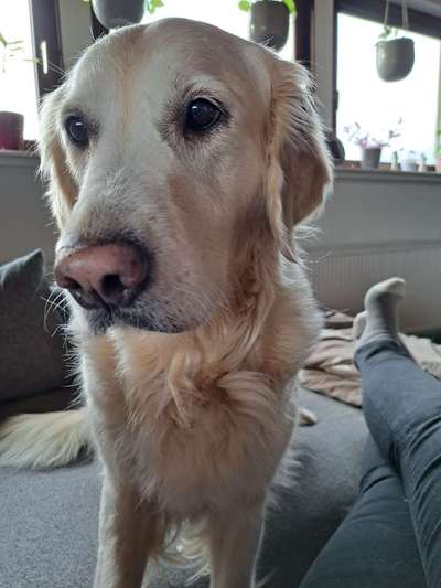 Doppelgänger gesucht !-Beitrag-Bild