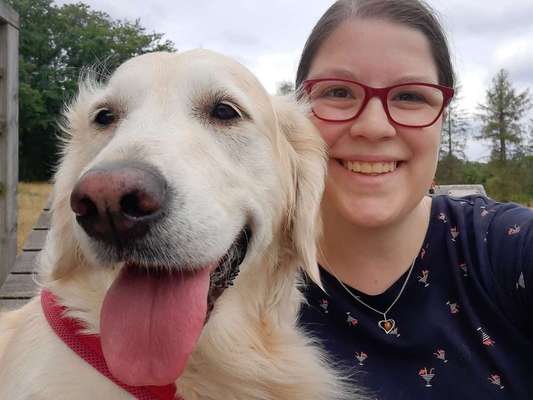 Dogorama Photo Challenge - Spielgesicht-Beitrag-Bild