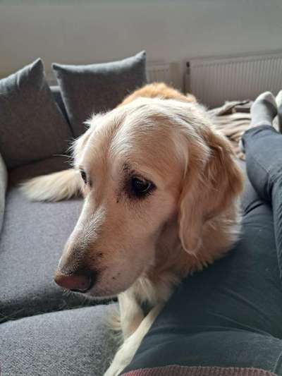 Doppelgänger gesucht !-Beitrag-Bild