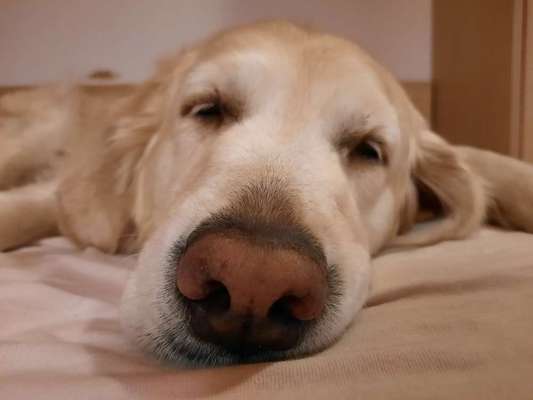 Blick fürs Detail!-Beitrag-Bild