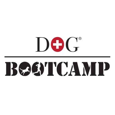 Giftköder-Dogbootcamp, Carnicross, Fitness-Bild