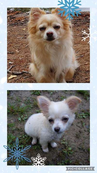 28. Handy-Fotochallenge - Damals und heute-Beitrag-Bild