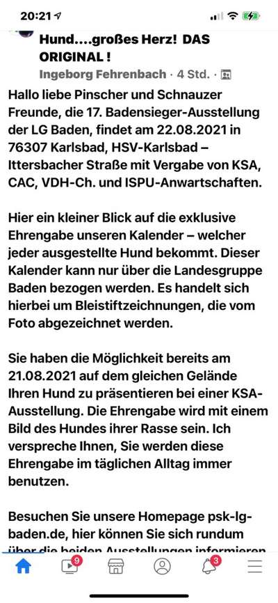 Zwergschnauzer gesucht-Beitrag-Bild