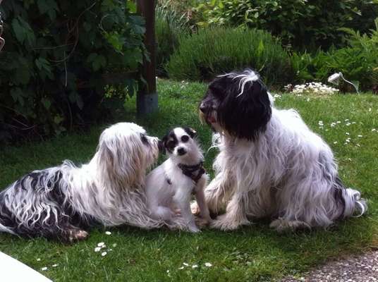 Lieblingsbild-Beitrag-Bild