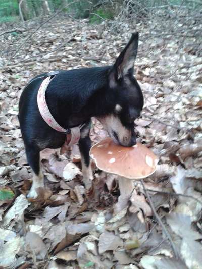 Lieblingsbild-Beitrag-Bild