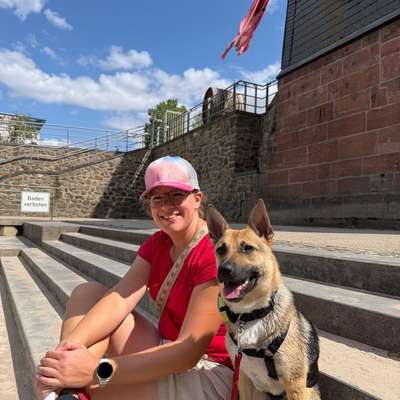 Hundetreffen-Gassifreunde + Spielfreunde für Nyra-Bild
