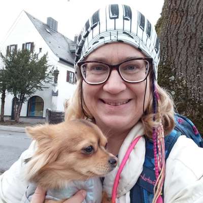 Hundetreffen-Kleine Hunde im Hirschgarten gesucht!-Bild