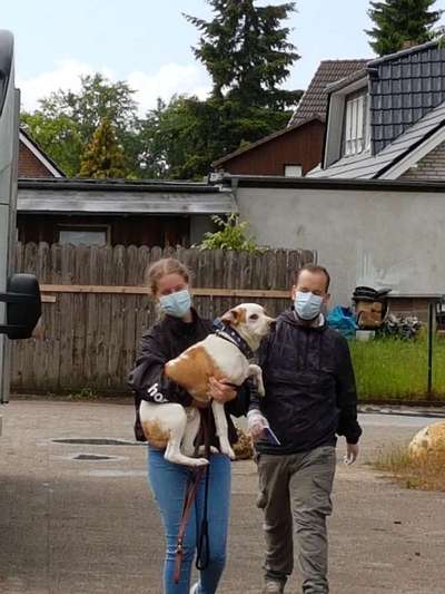 Das erste Foto-Beitrag-Bild