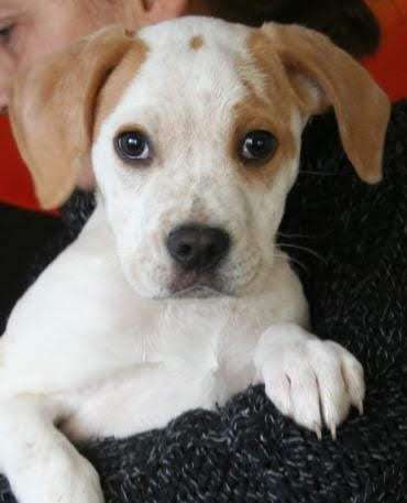 Lieblingsbild-Beitrag-Bild