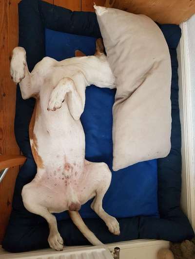 Die unbequemsten und lustigsten Schlafpositionen-Beitrag-Bild