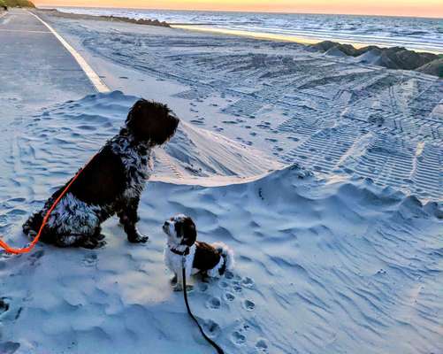 17. Farben Foto Challenge: Pastellfarben-Beitrag-Bild