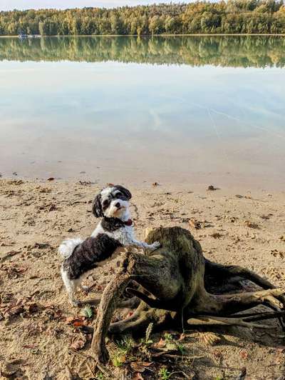 27. Handy Fotochallenge-Beitrag-Bild