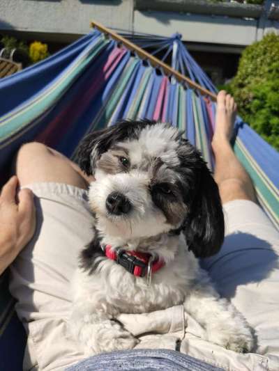 Fotowettbewerb zum Thema "Sonne"-Beitrag-Bild