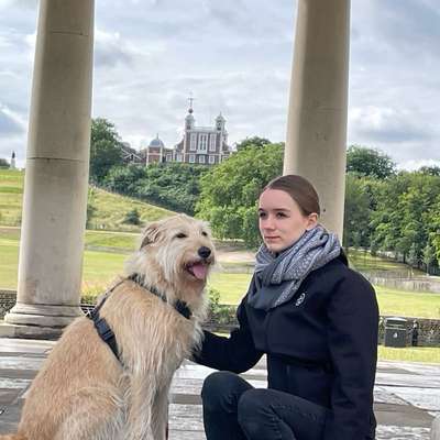 Hundetreffen-Gemeinsame Hunderunden