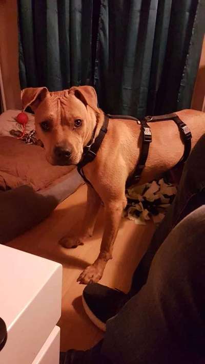 Erstes Bild-Beitrag-Bild