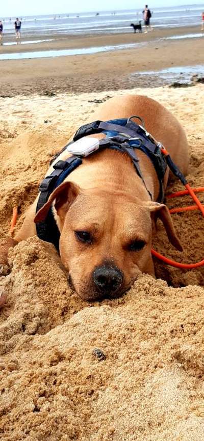 Eure Strandbilder :)-Beitrag-Bild