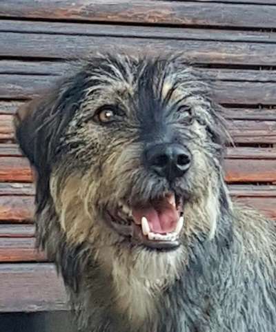 Fotochallange Nr. 57     PORTRÄT.   Beendet!!!!!!!!-Beitrag-Bild