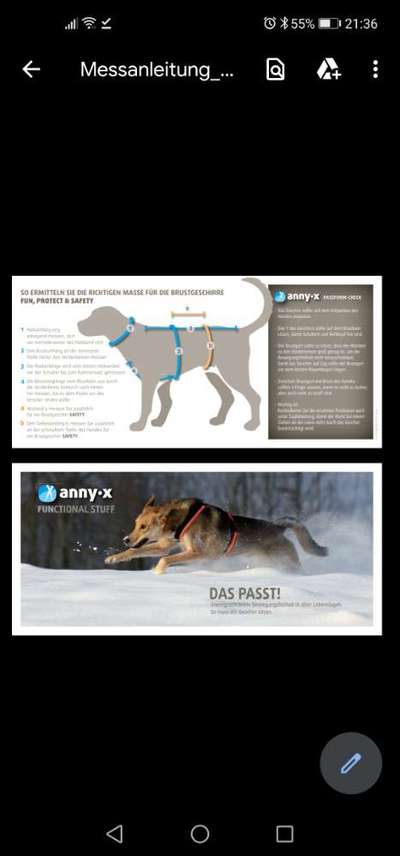 Wie sitzt mein Geschirr?-Beitrag-Bild