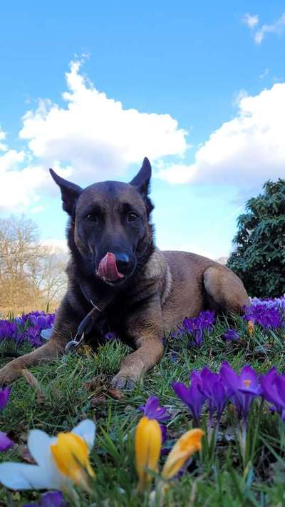 Fotochallenge Nr. 126-Beitrag-Bild