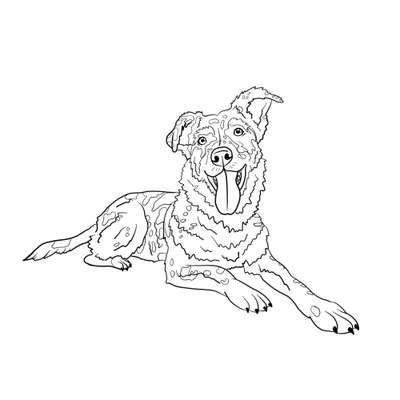 Hätte jemand Interesse an individuellen digitalen Lineart-Portraits?-Beitrag-Bild