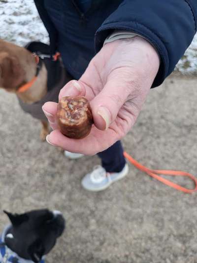 Giftköder-KÖDER MIT METALL-Bild