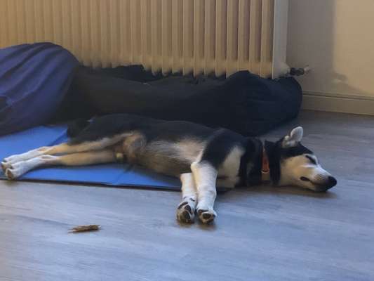 Kühlmatte-Beitrag-Bild