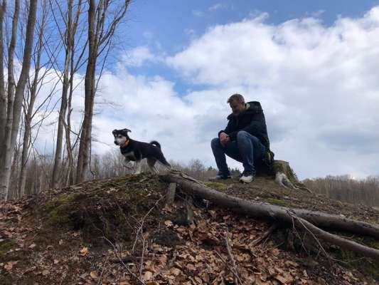 Hund und Natur-Beitrag-Bild
