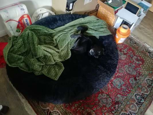 Erfahrung mit Wolkenbett-Beitrag-Bild