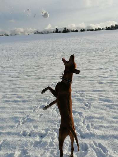 Fotochallenge Nr. 52 „Spring!“-Beitrag-Bild