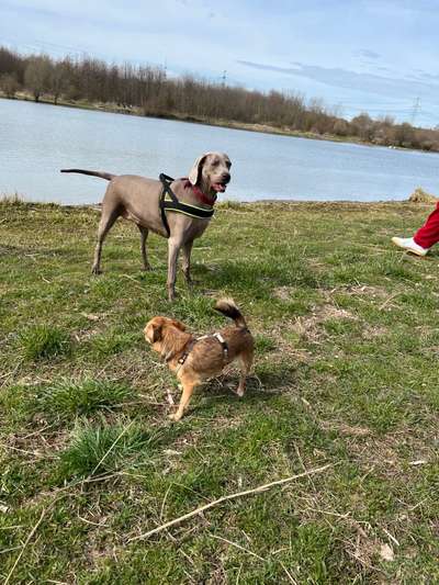 Fotowettbewerb Natur-Beitrag-Bild