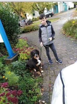 Welpen Bilder !-Beitrag-Bild