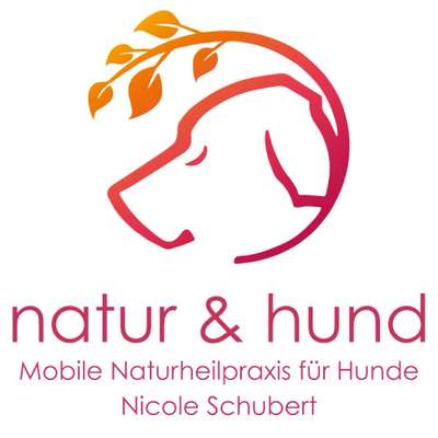 Medizinische Dienstleistungen-natur & hund / Mobile Naturheilpraxis für Hunde-Bild