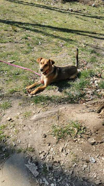 Fotochallenge 78

Es grünt und blüht-Beitrag-Bild