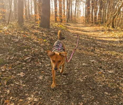 Foto Challenge Nr. 79-Beitrag-Bild