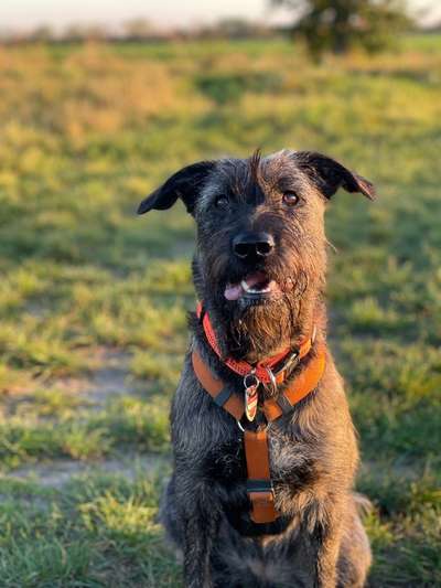 Was bin ich ?-Beitrag-Bild